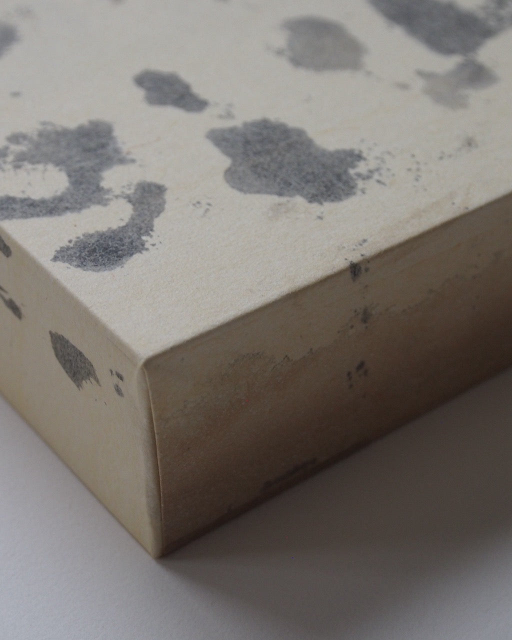 Ayana Mizuno "Translucent scenery no.3, 2025"