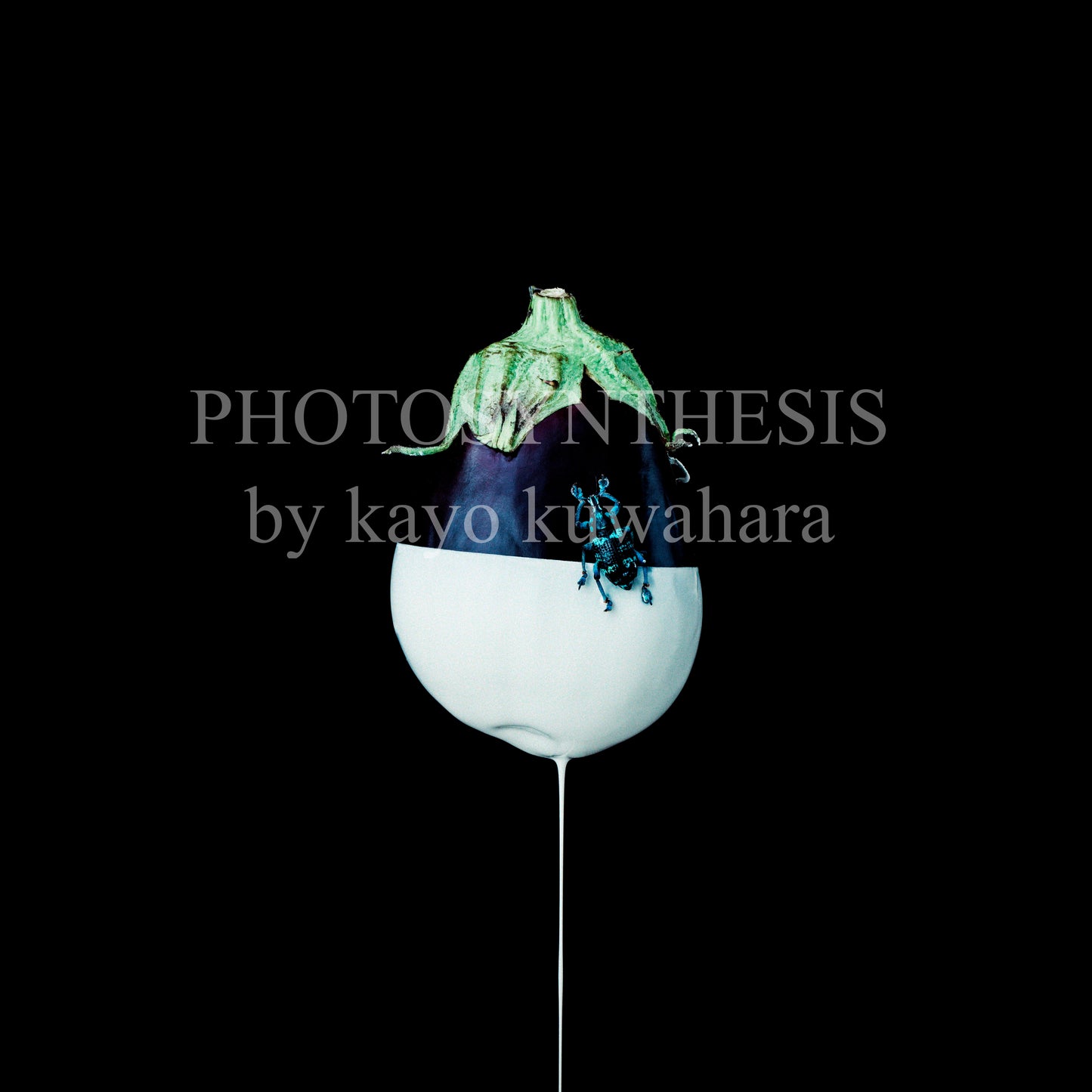Kayo Kuwahara Art1 "加茂ナス、ゾウムシ"