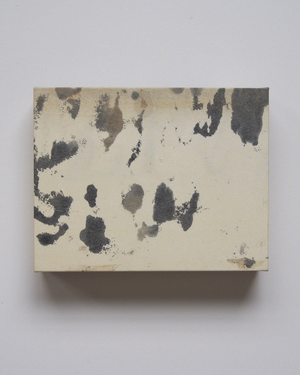 Ayana Mizuno "Translucent scenery no.3, 2025"