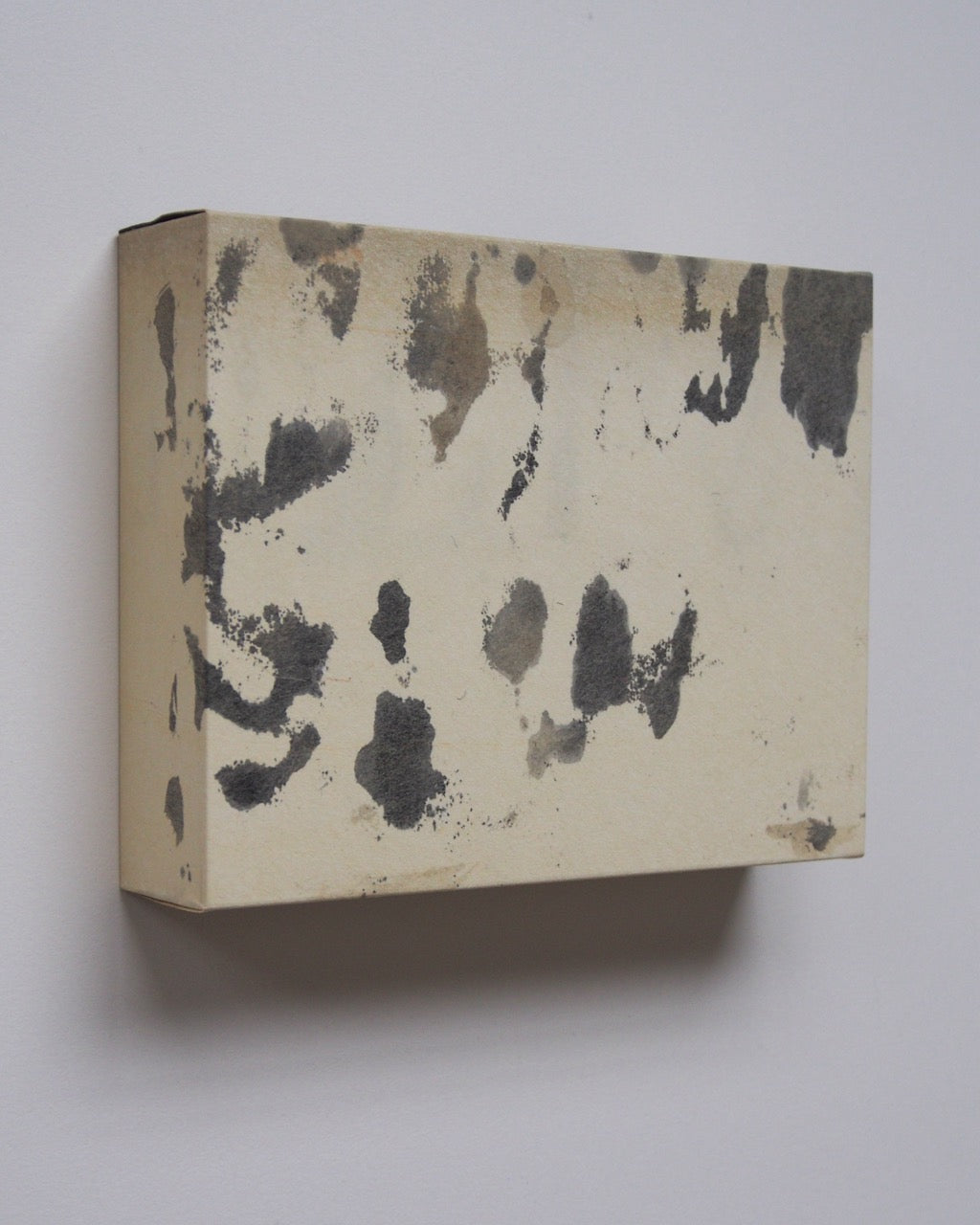 Ayana Mizuno "Translucent scenery no.3, 2025"