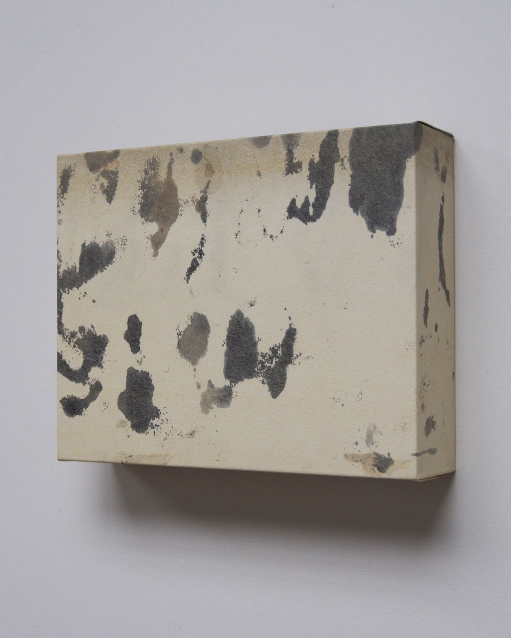 Ayana Mizuno "Translucent scenery no.3, 2025"