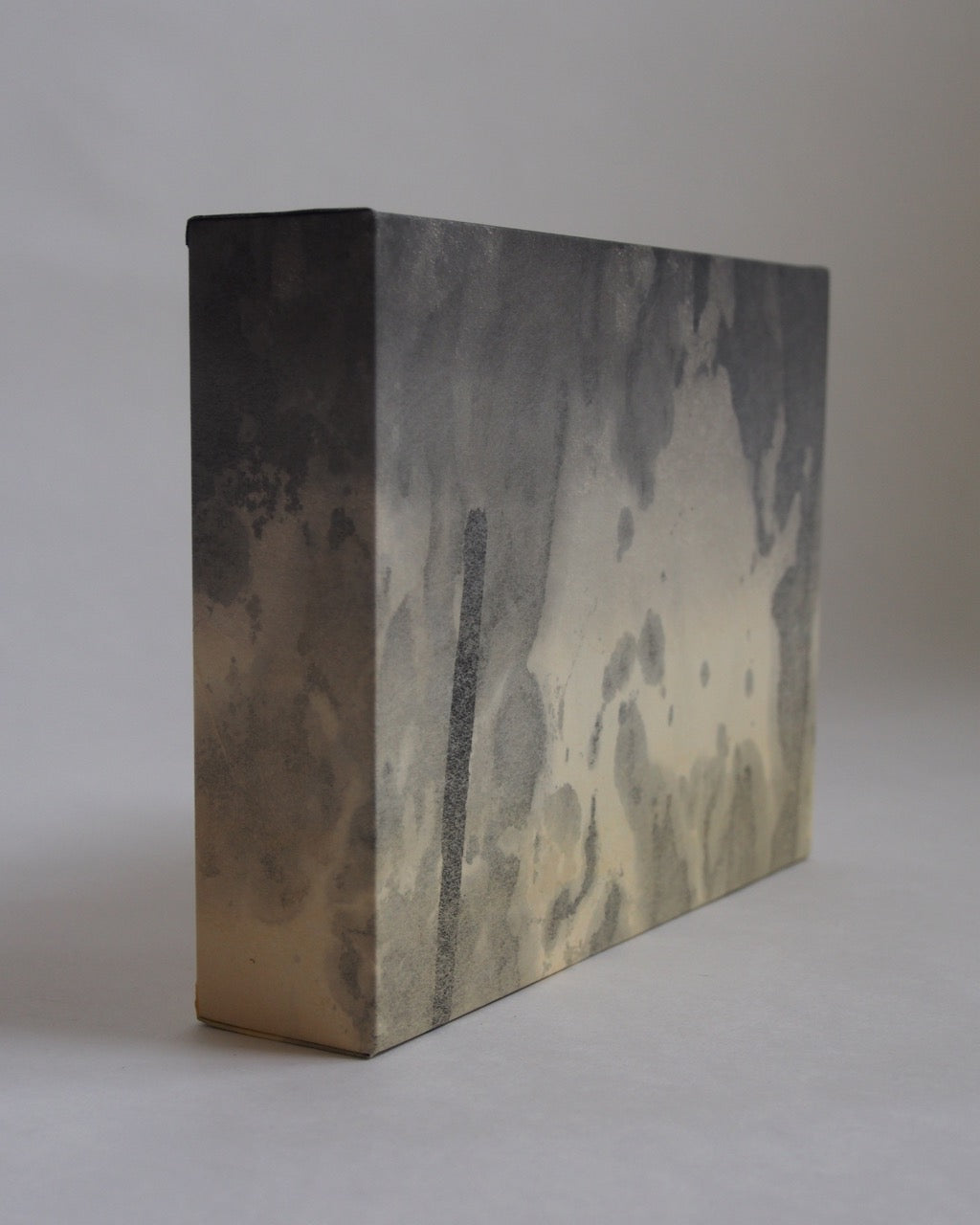 Ayana Mizuno "Translucent scenery no.2, 2025"