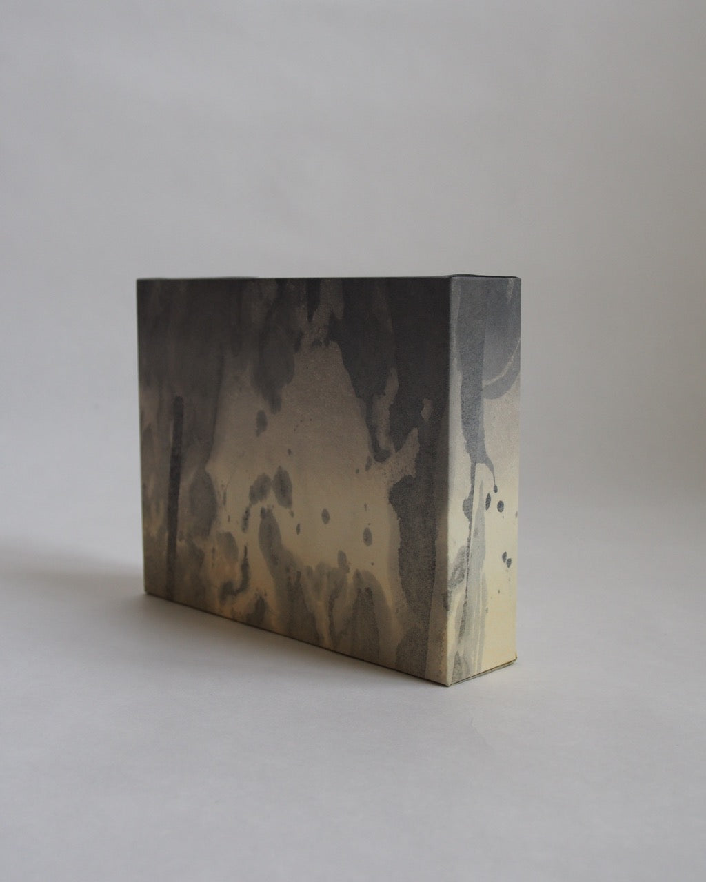 Ayana Mizuno "Translucent scenery no.2, 2025"