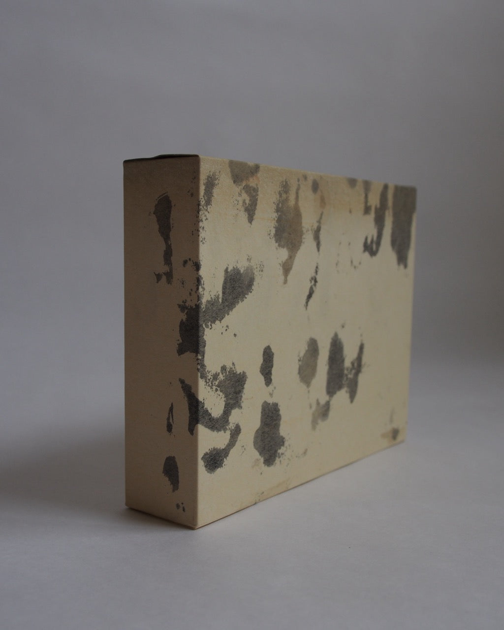 Ayana Mizuno "Translucent scenery no.3, 2025"