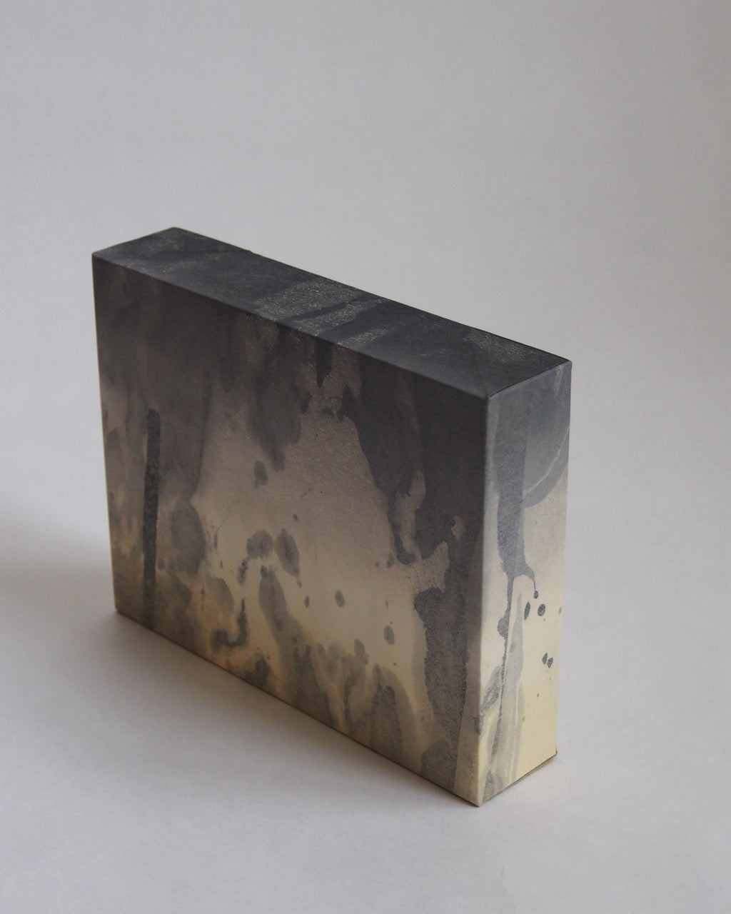 Ayana Mizuno "Translucent scenery no.2, 2025"