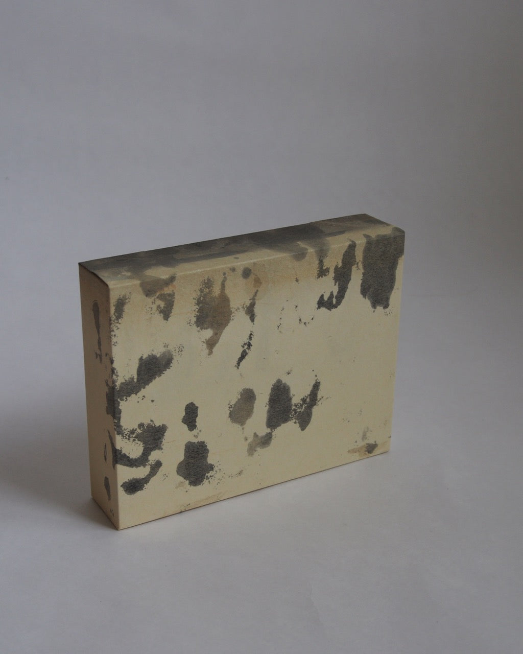 Ayana Mizuno "Translucent scenery no.3, 2025"
