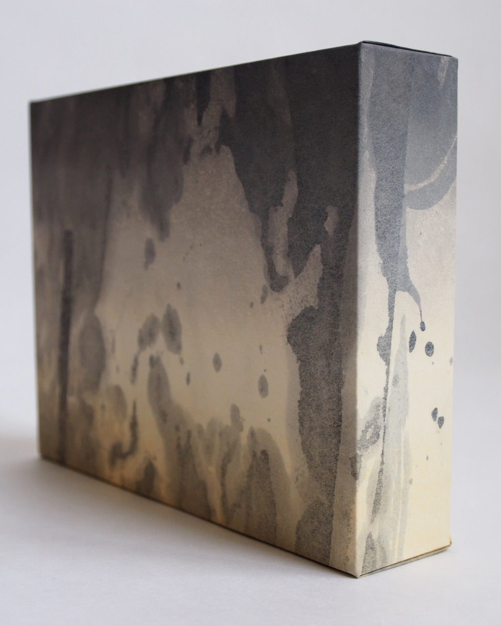 Ayana Mizuno "Translucent scenery no.2, 2025"