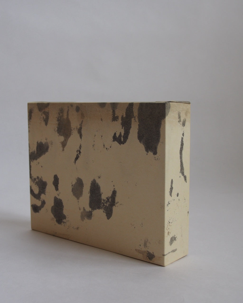 Ayana Mizuno "Translucent scenery no.3, 2025"