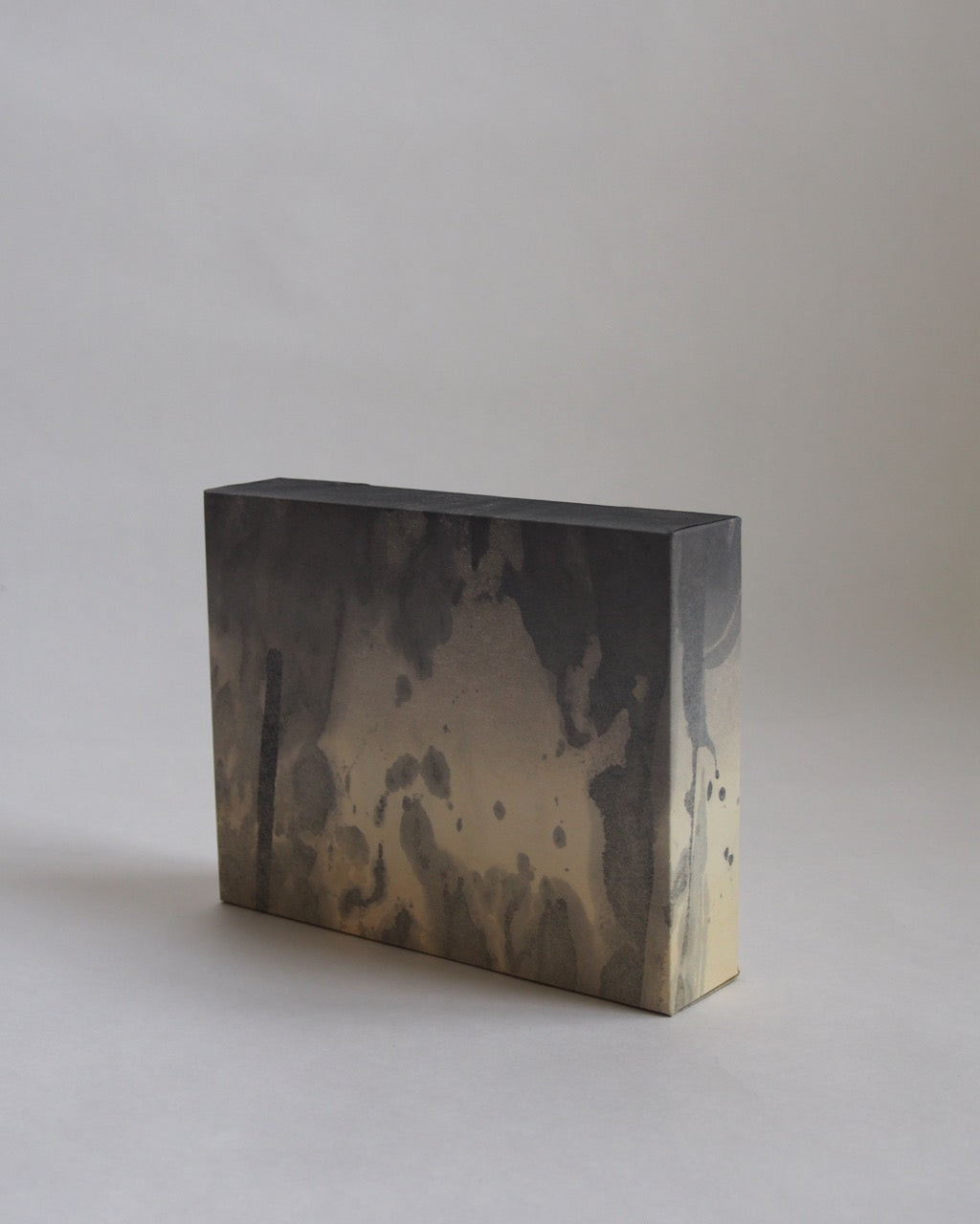 Ayana Mizuno "Translucent scenery no.2, 2025"