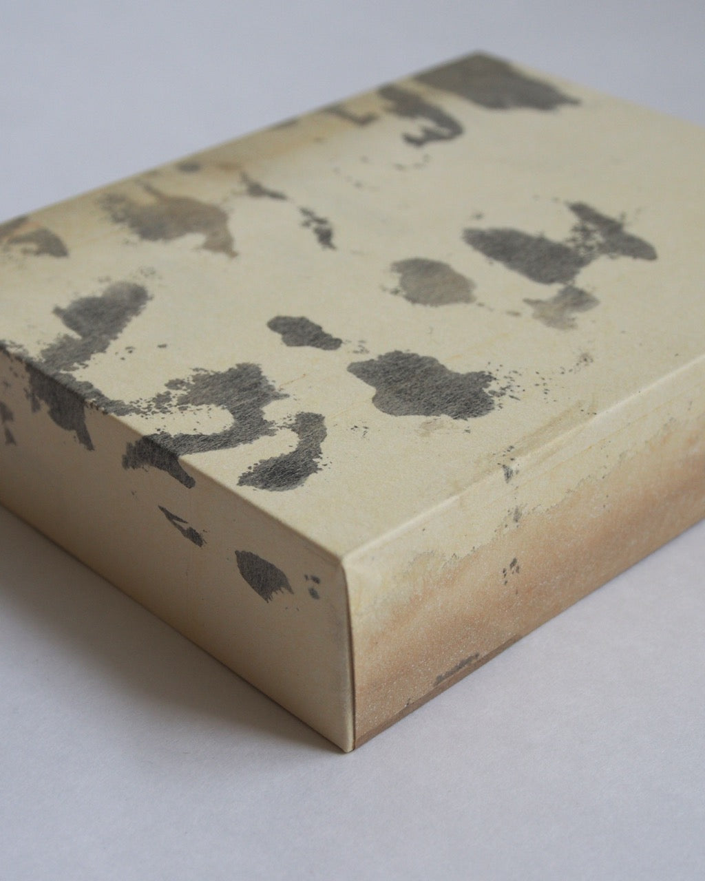 Ayana Mizuno "Translucent scenery no.3, 2025"