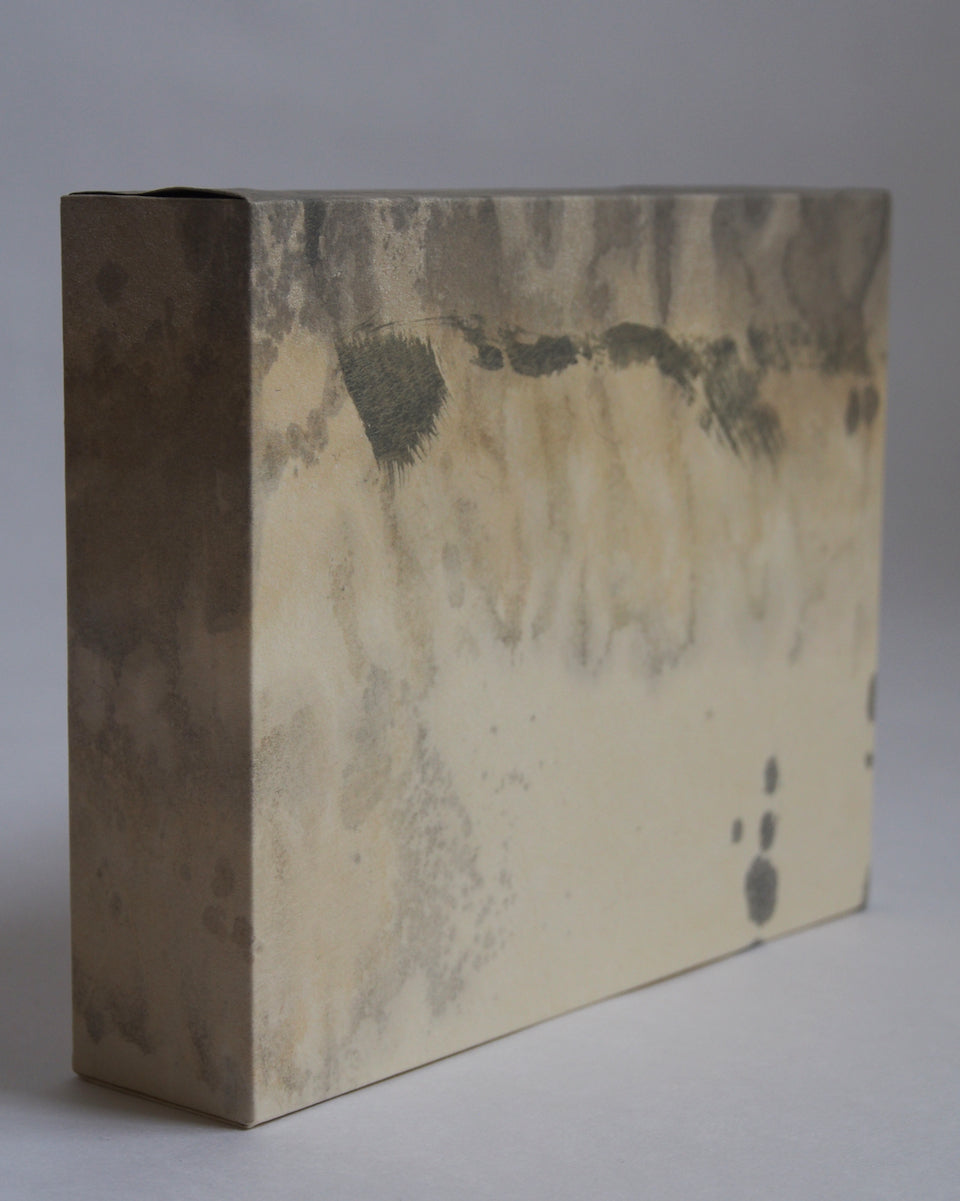 Ayana Mizuno "Translucent scenery no.1, 2025"