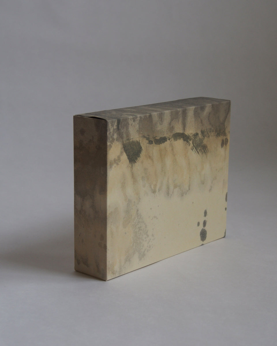 Ayana Mizuno "Translucent scenery no.1, 2025"