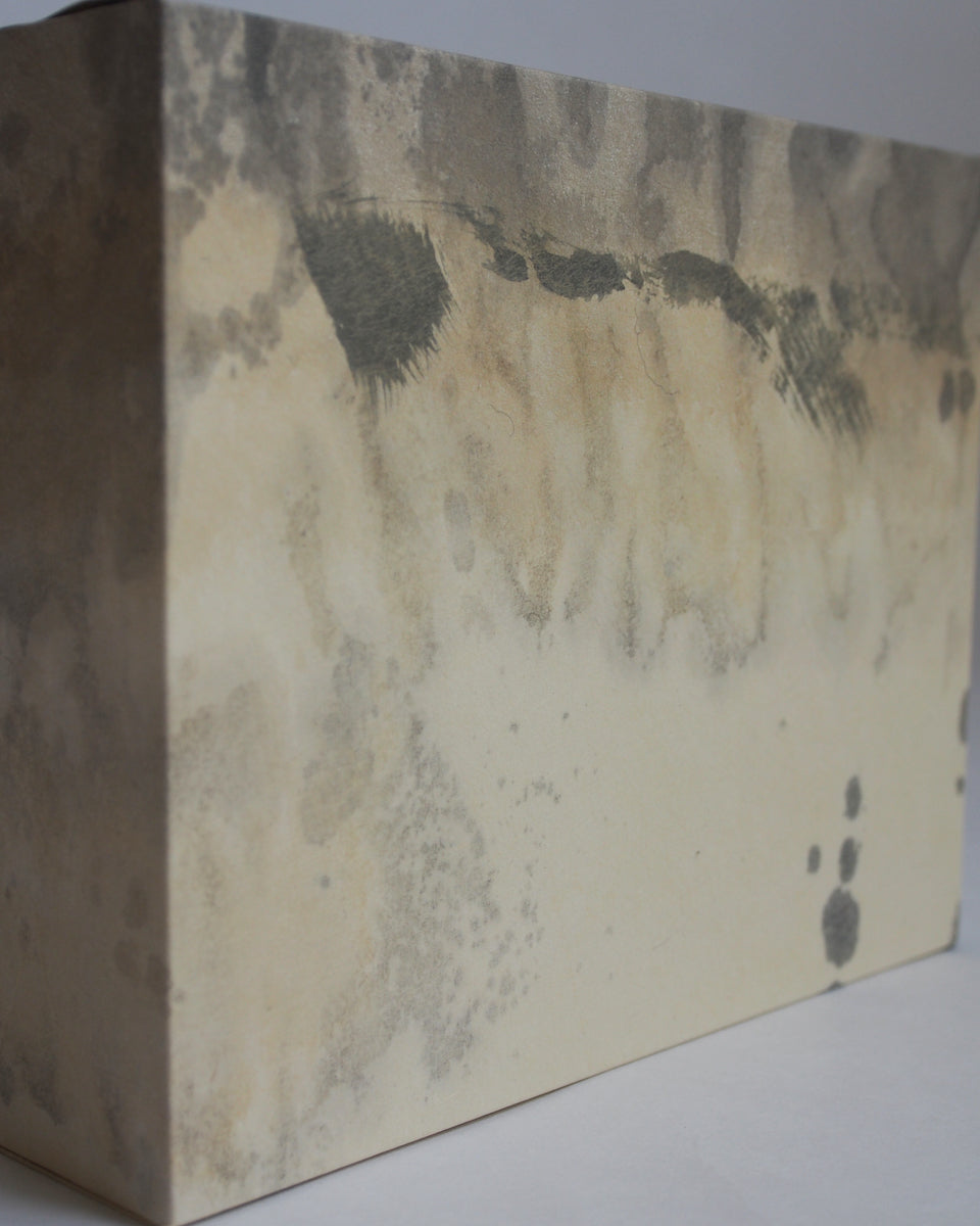 Ayana Mizuno "Translucent scenery no.1, 2025"