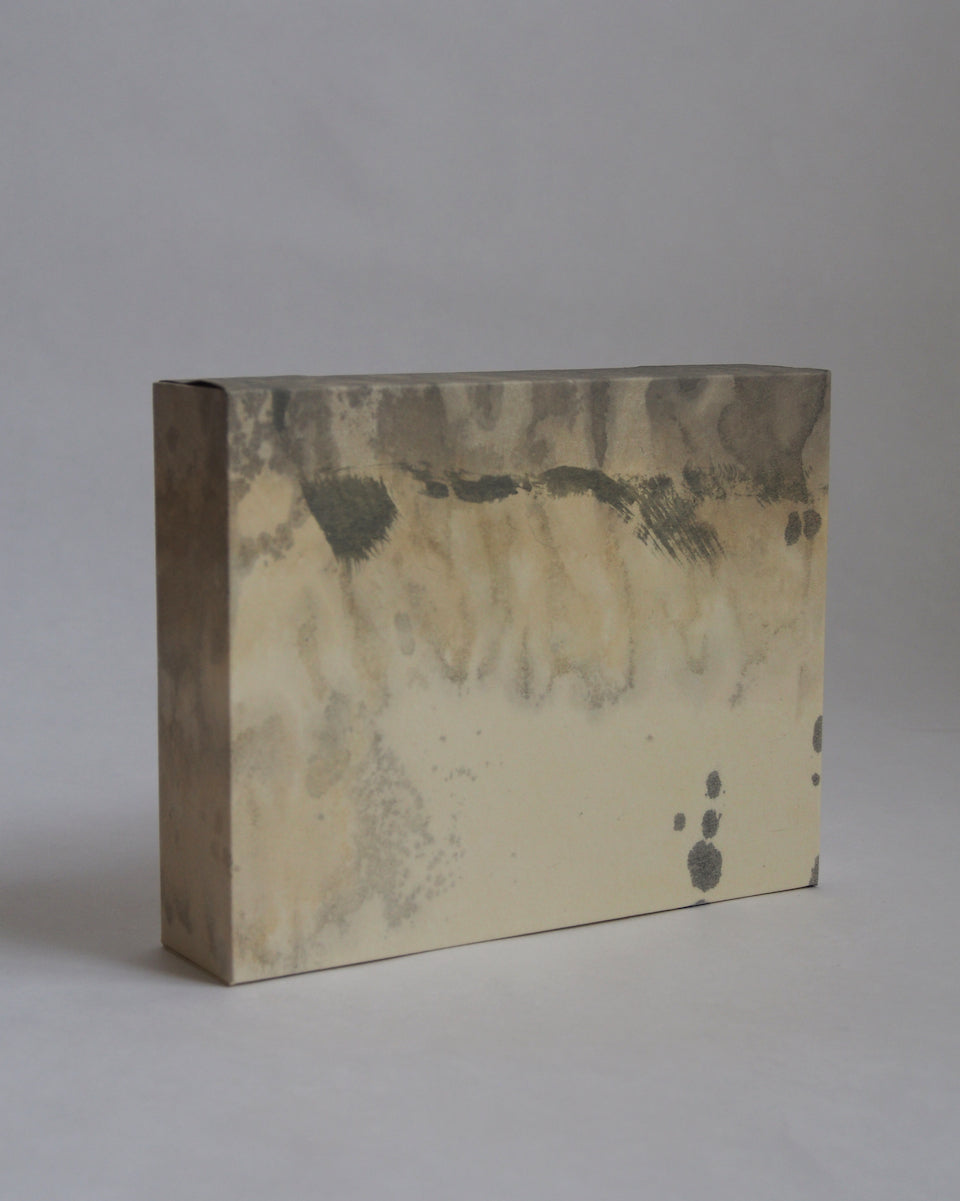 Ayana Mizuno "Translucent scenery no.1, 2025"