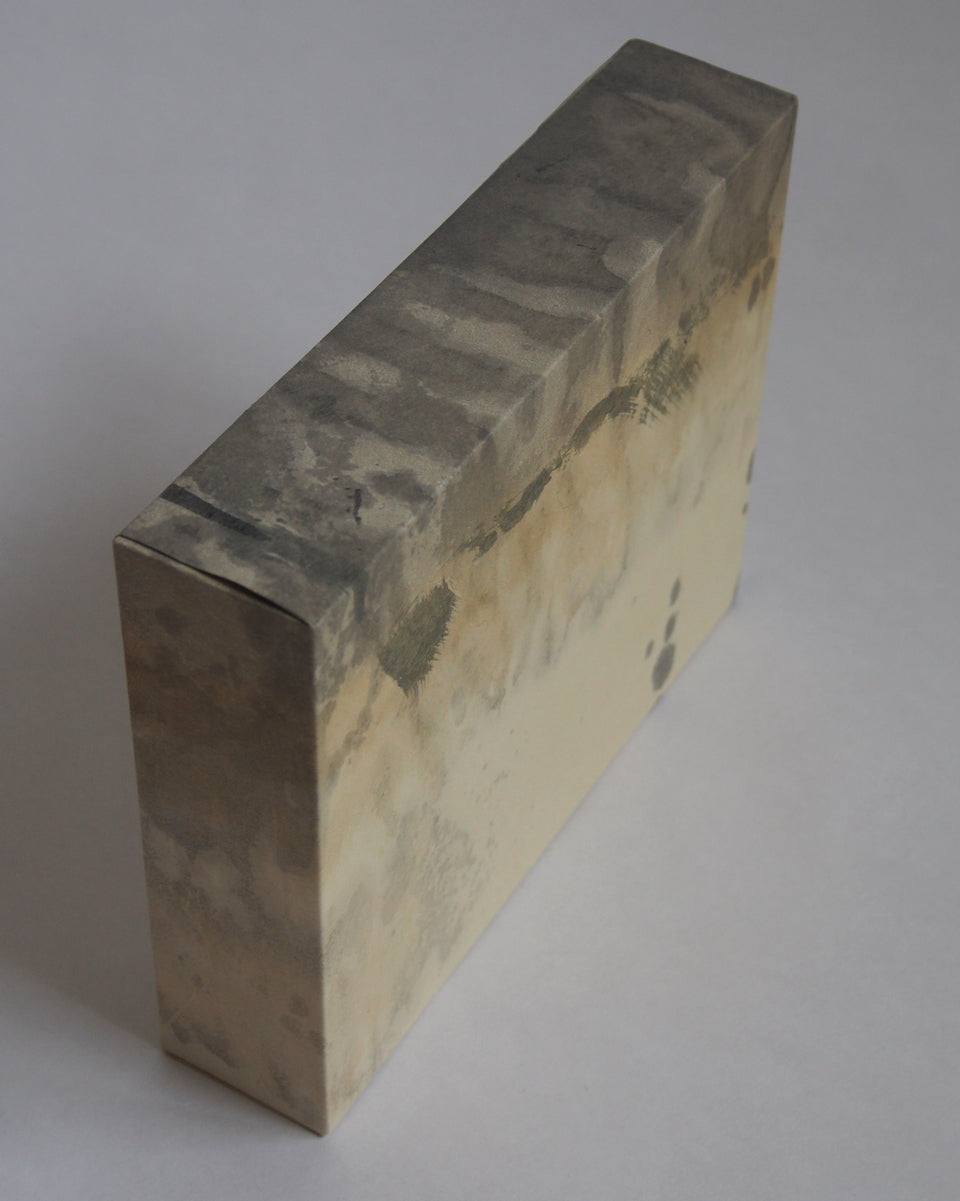 Ayana Mizuno "Translucent scenery no.1, 2025"