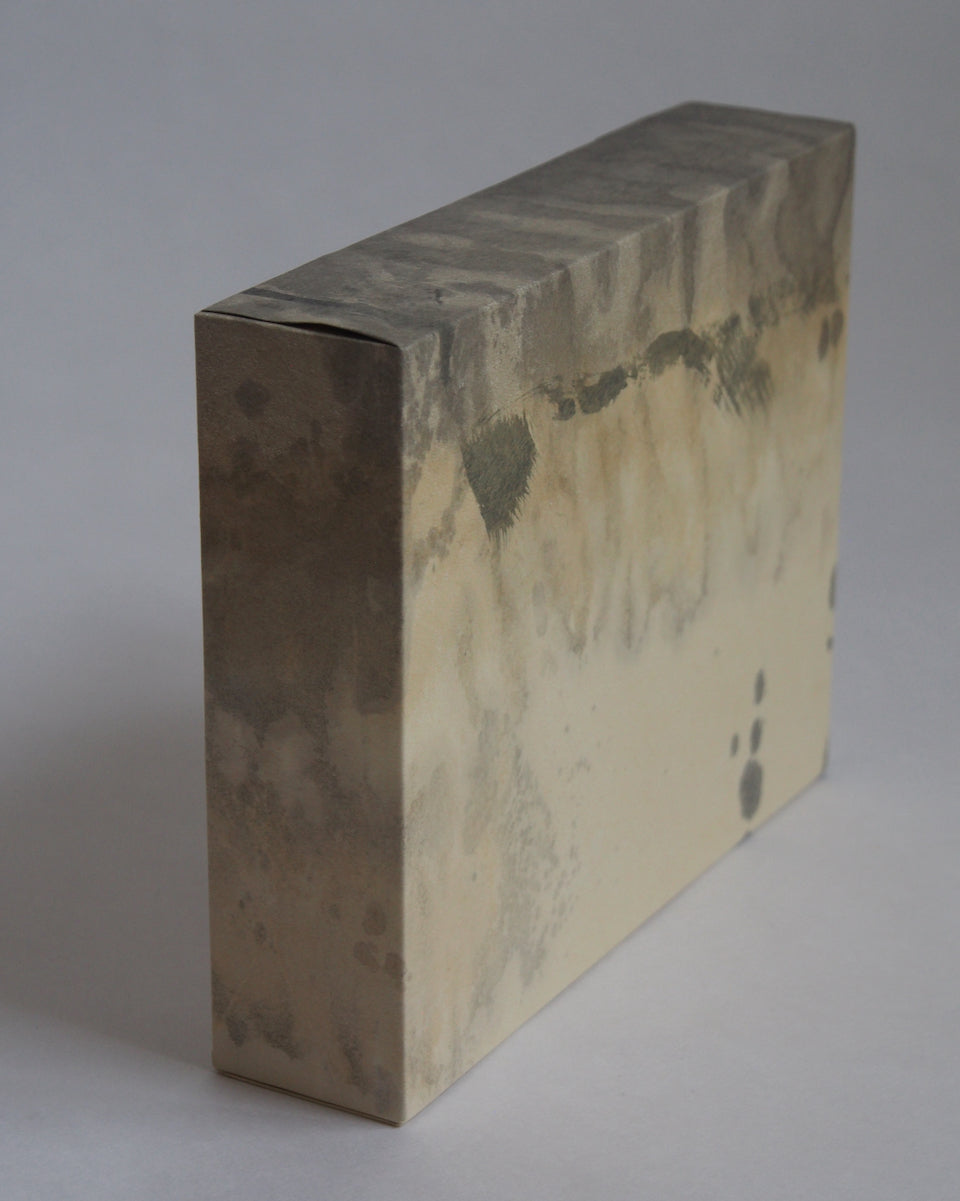 Ayana Mizuno "Translucent scenery no.1, 2025"