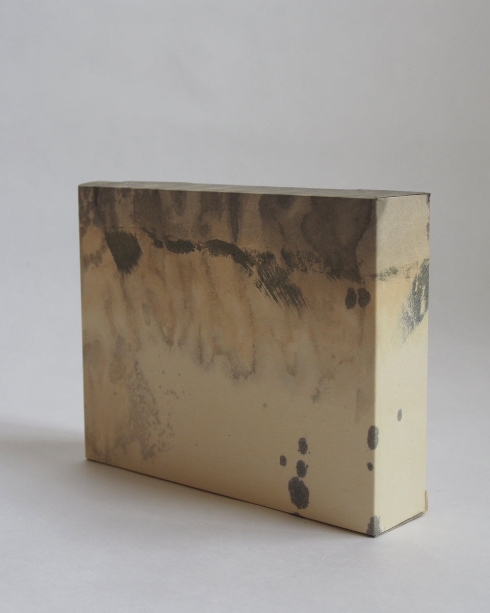 Ayana Mizuno "Translucent scenery no.1, 2025"