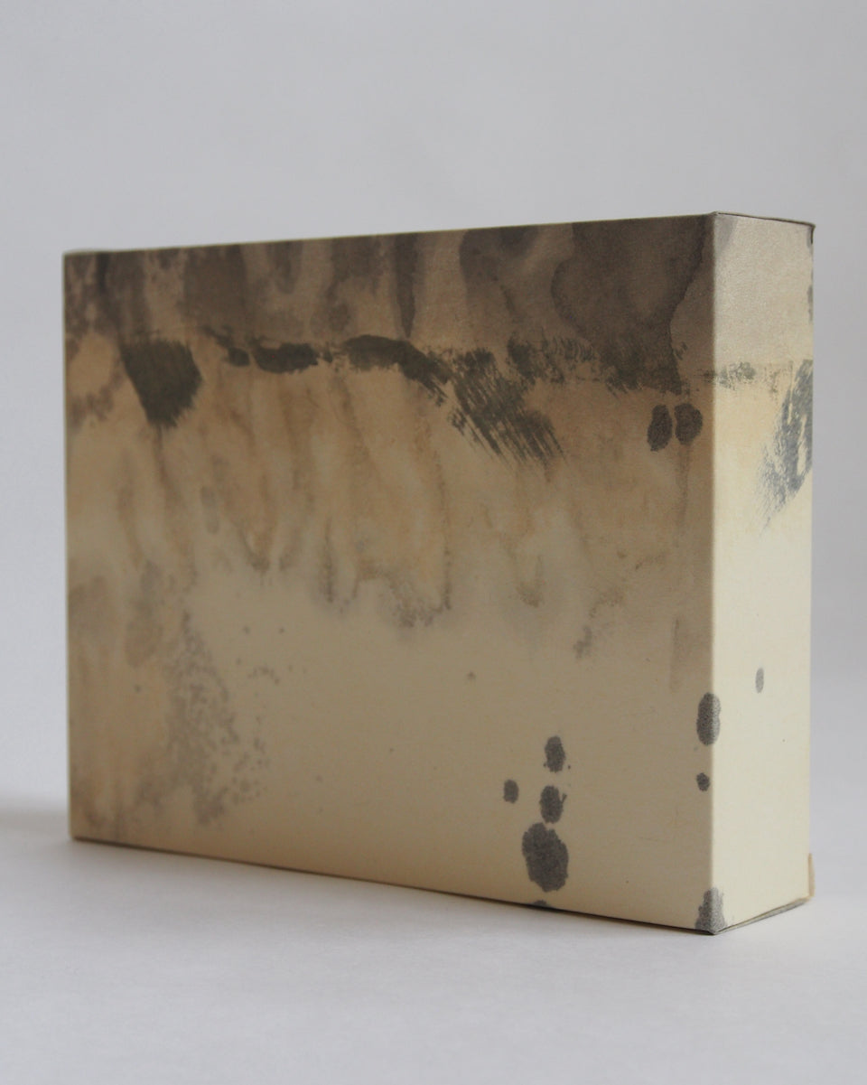 Ayana Mizuno "Translucent scenery no.1, 2025"