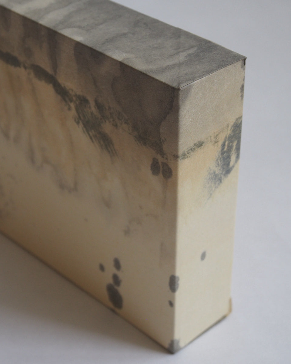 Ayana Mizuno "Translucent scenery no.1, 2025"