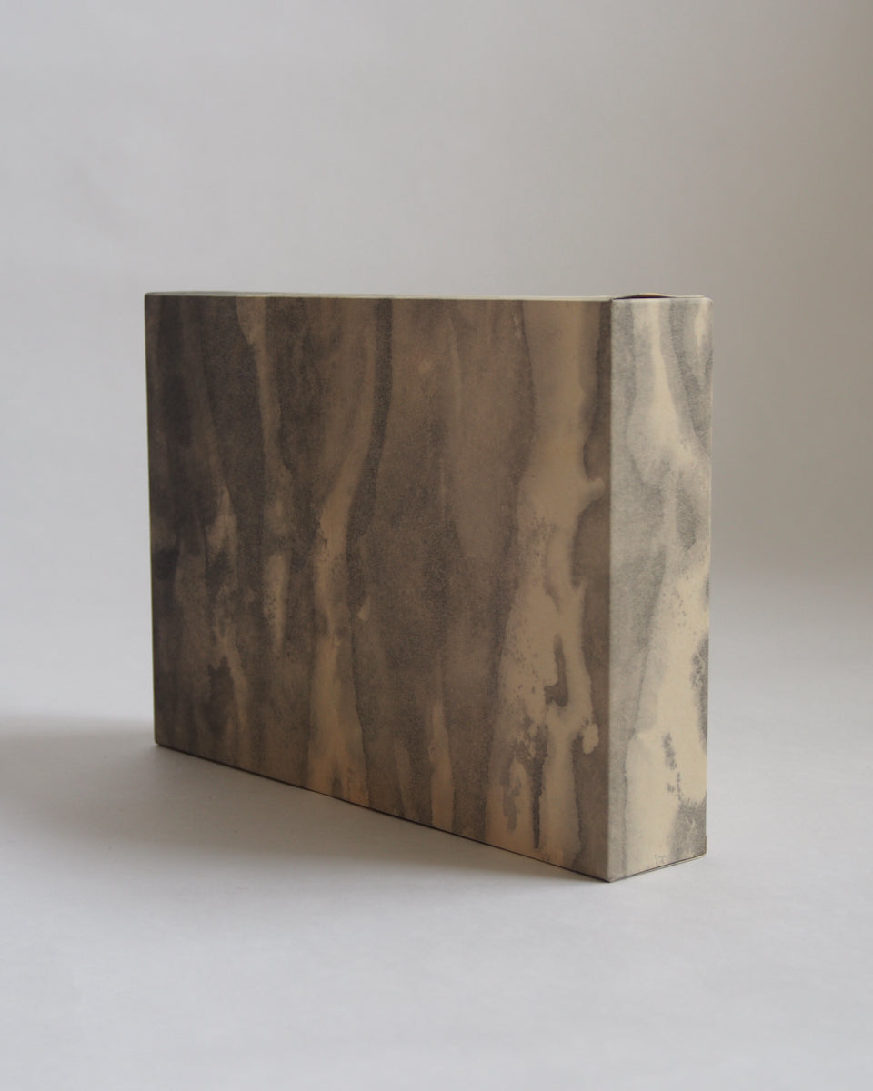 Ayana Mizuno "Translucent scenery no.5, 2025"