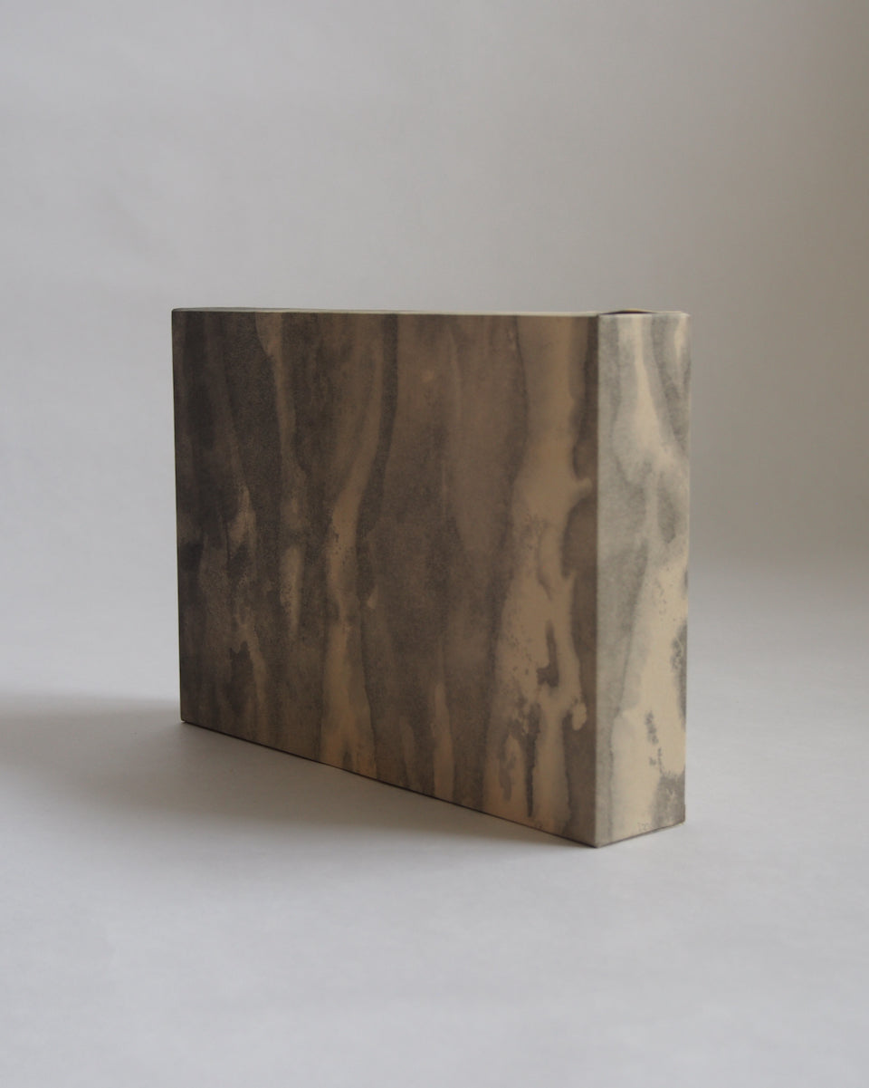 Ayana Mizuno "Translucent scenery no.5, 2025"