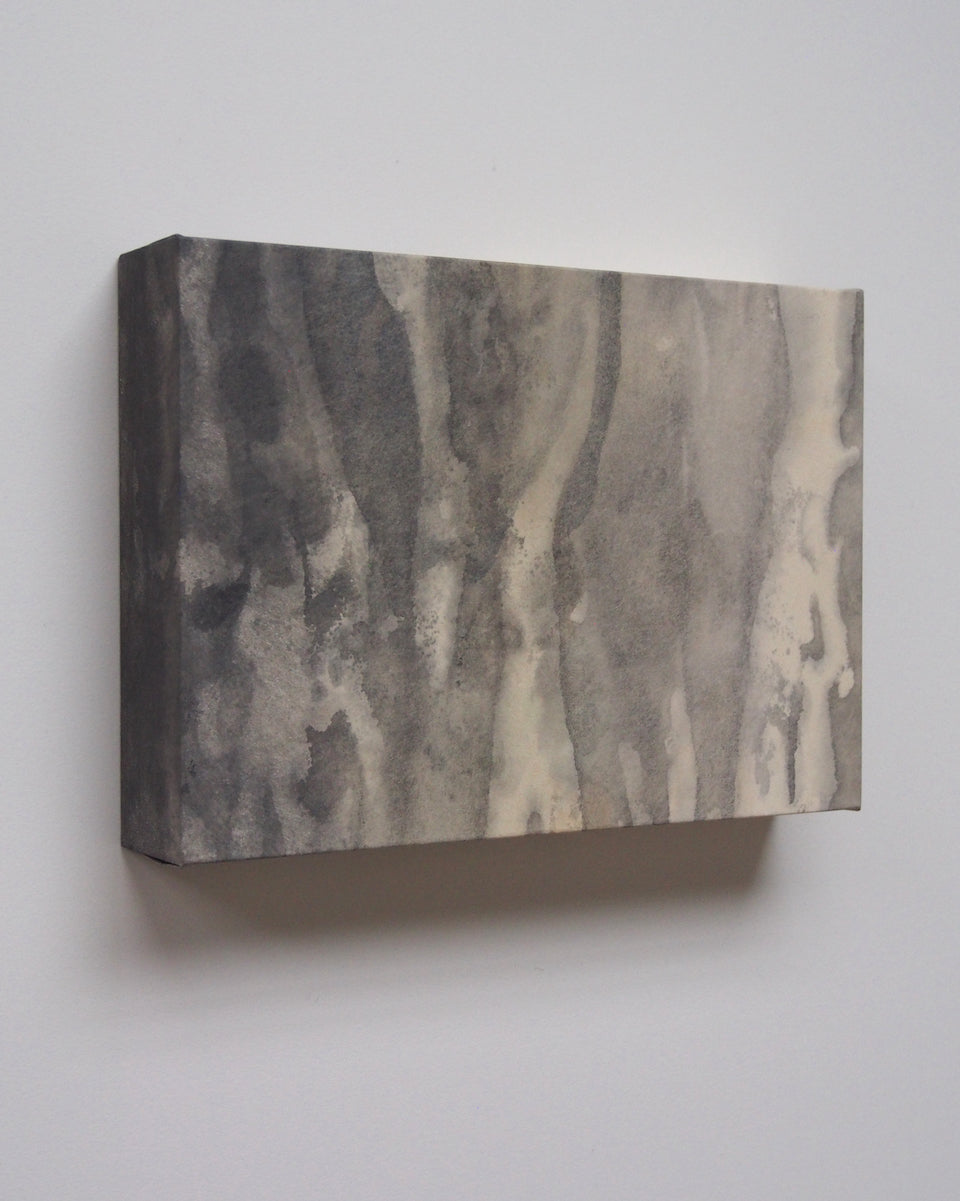 Ayana Mizuno "Translucent scenery no.5, 2025"