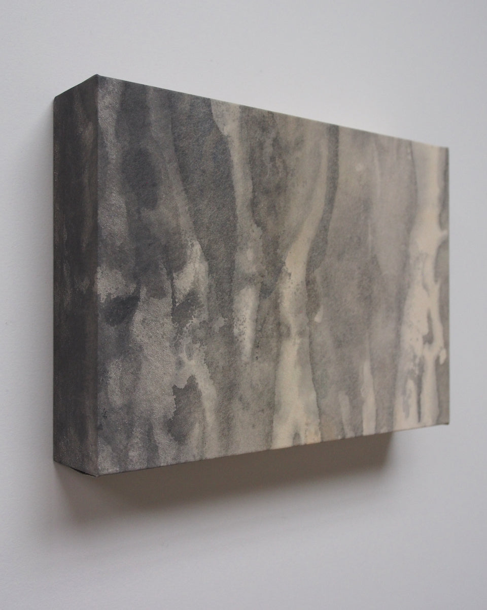 Ayana Mizuno "Translucent scenery no.5, 2025"