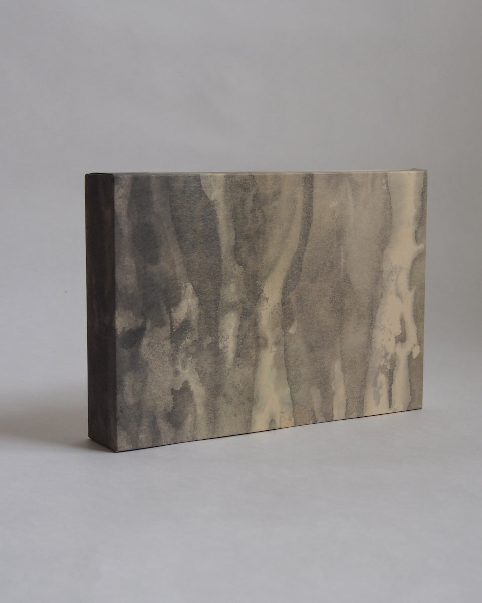 Ayana Mizuno "Translucent scenery no.5, 2025"