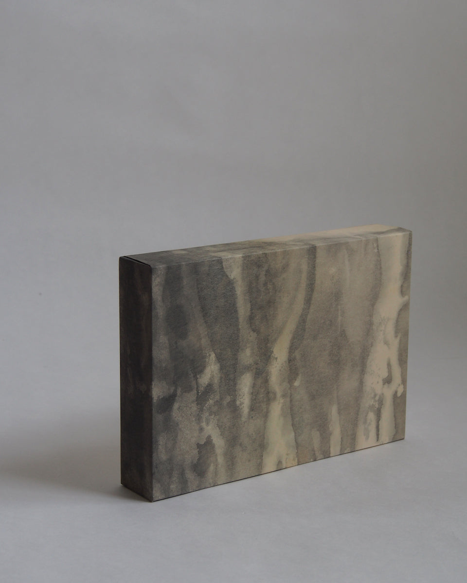 Ayana Mizuno "Translucent scenery no.5, 2025"