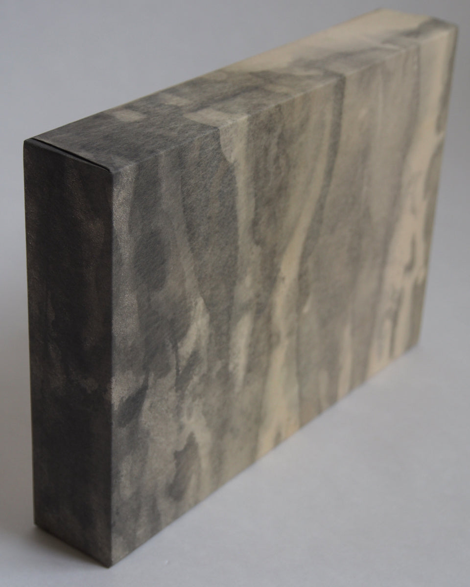 Ayana Mizuno "Translucent scenery no.5, 2025"