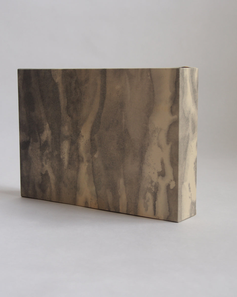 Ayana Mizuno "Translucent scenery no.5, 2025"