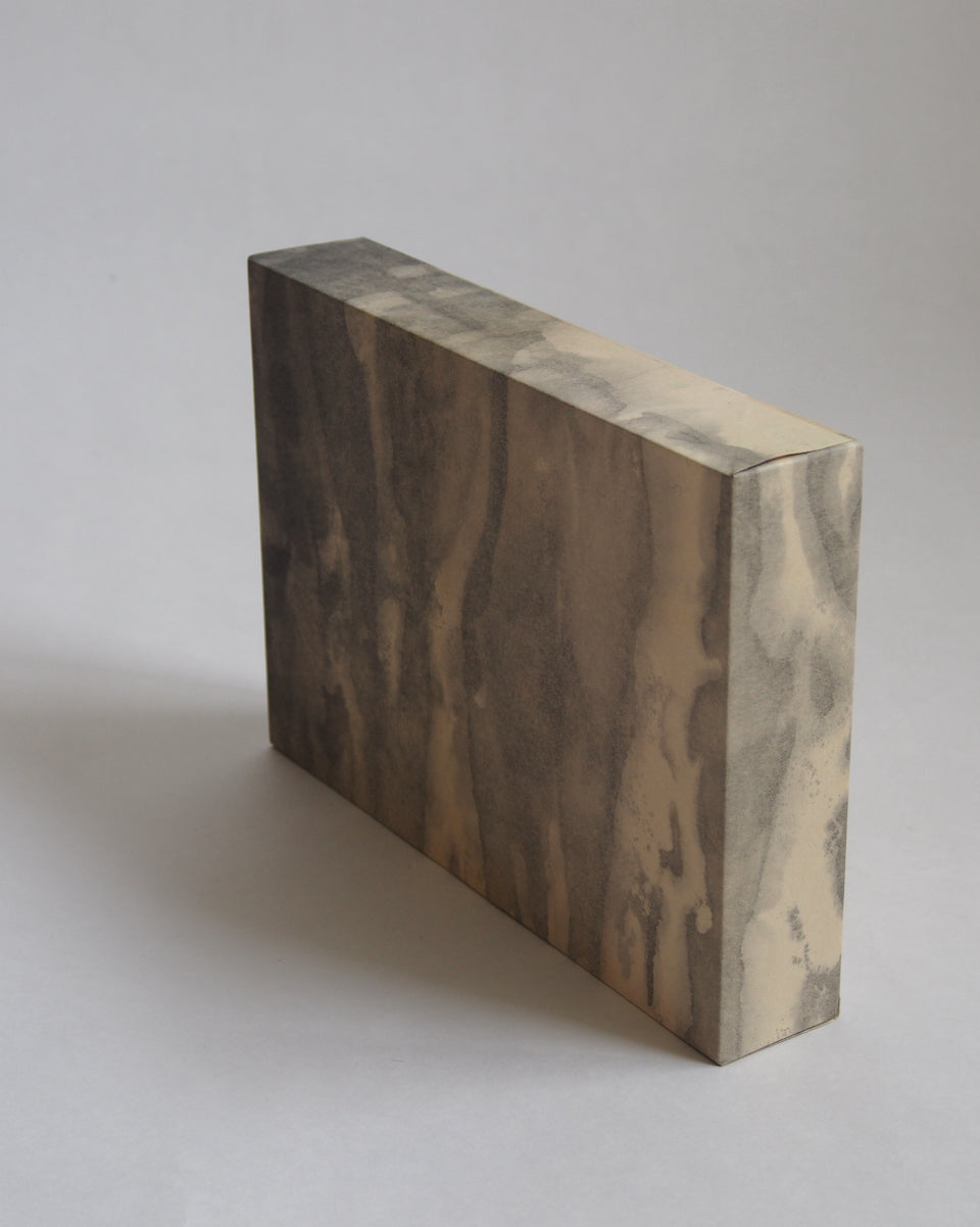 Ayana Mizuno "Translucent scenery no.5, 2025"