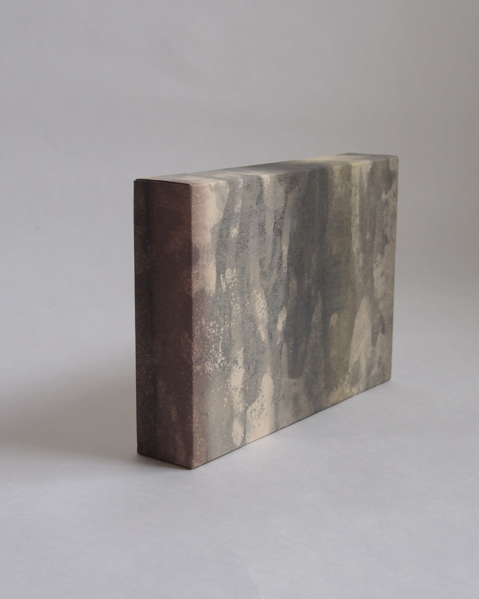 Ayana Mizuno "Translucent scenery no.6, 2025"