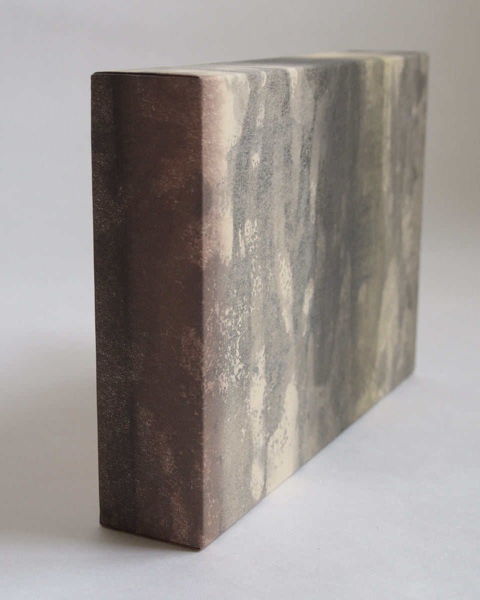 Ayana Mizuno "Translucent scenery no.6, 2025"