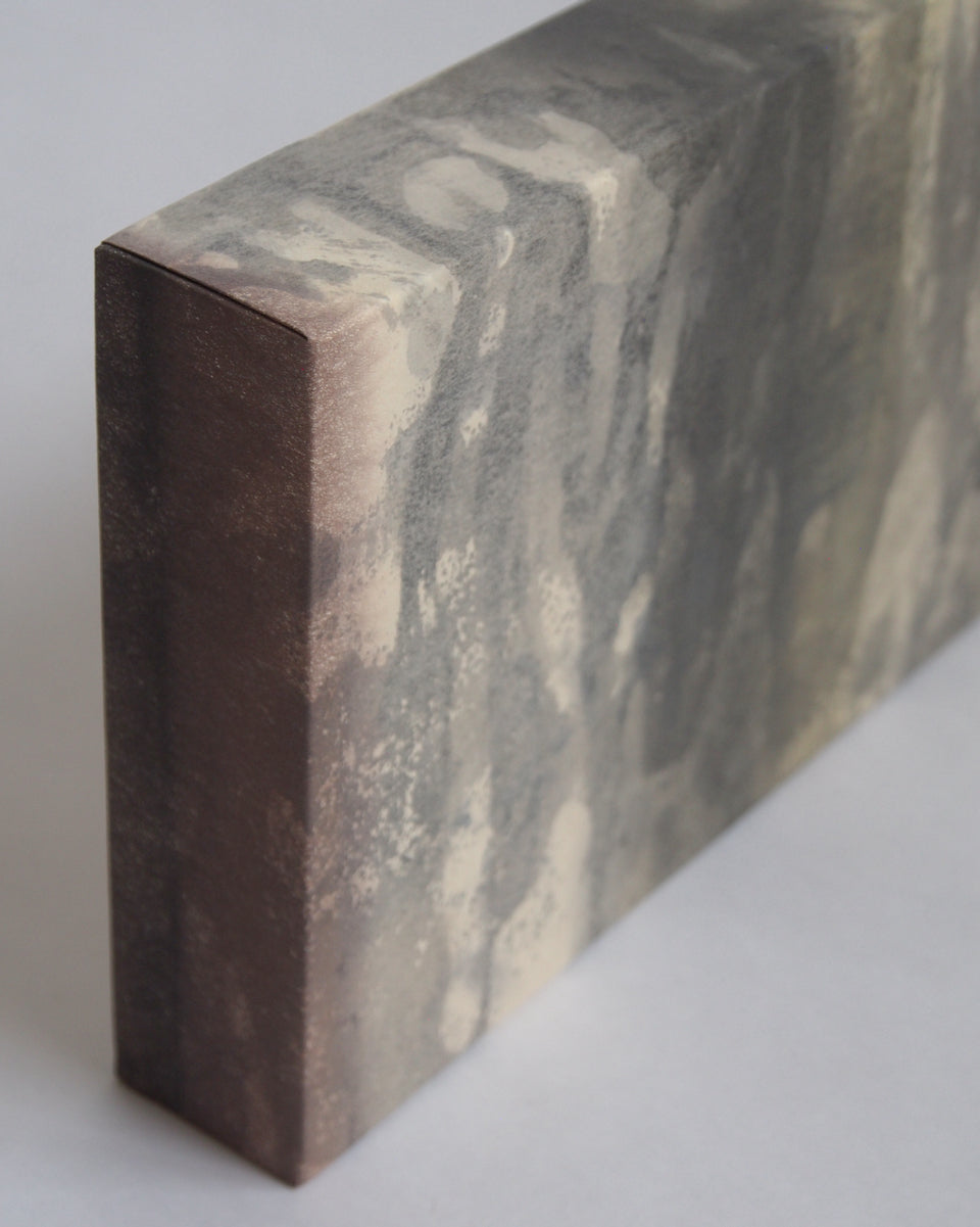 Ayana Mizuno "Translucent scenery no.6, 2025"