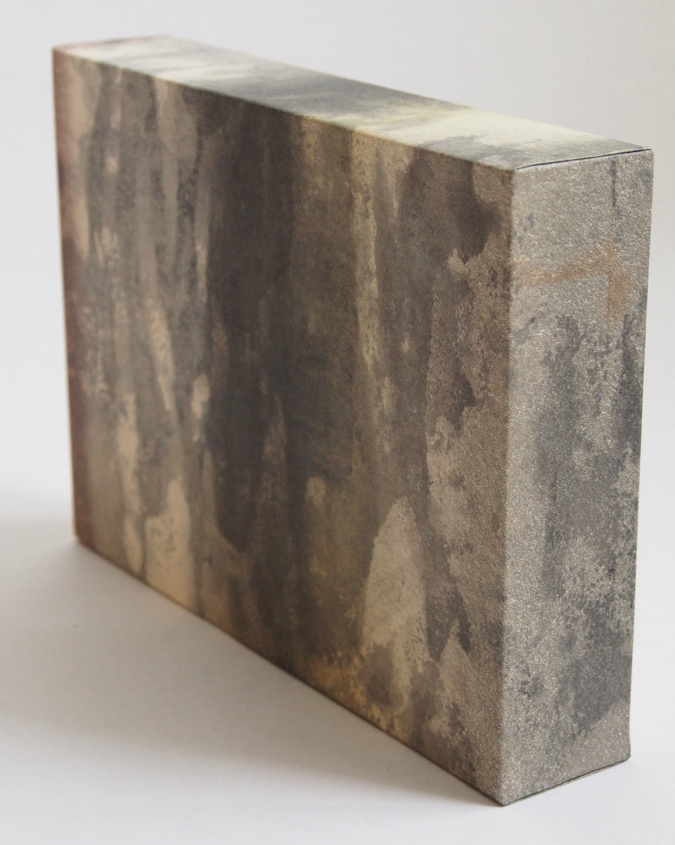 Ayana Mizuno "Translucent scenery no.6, 2025"