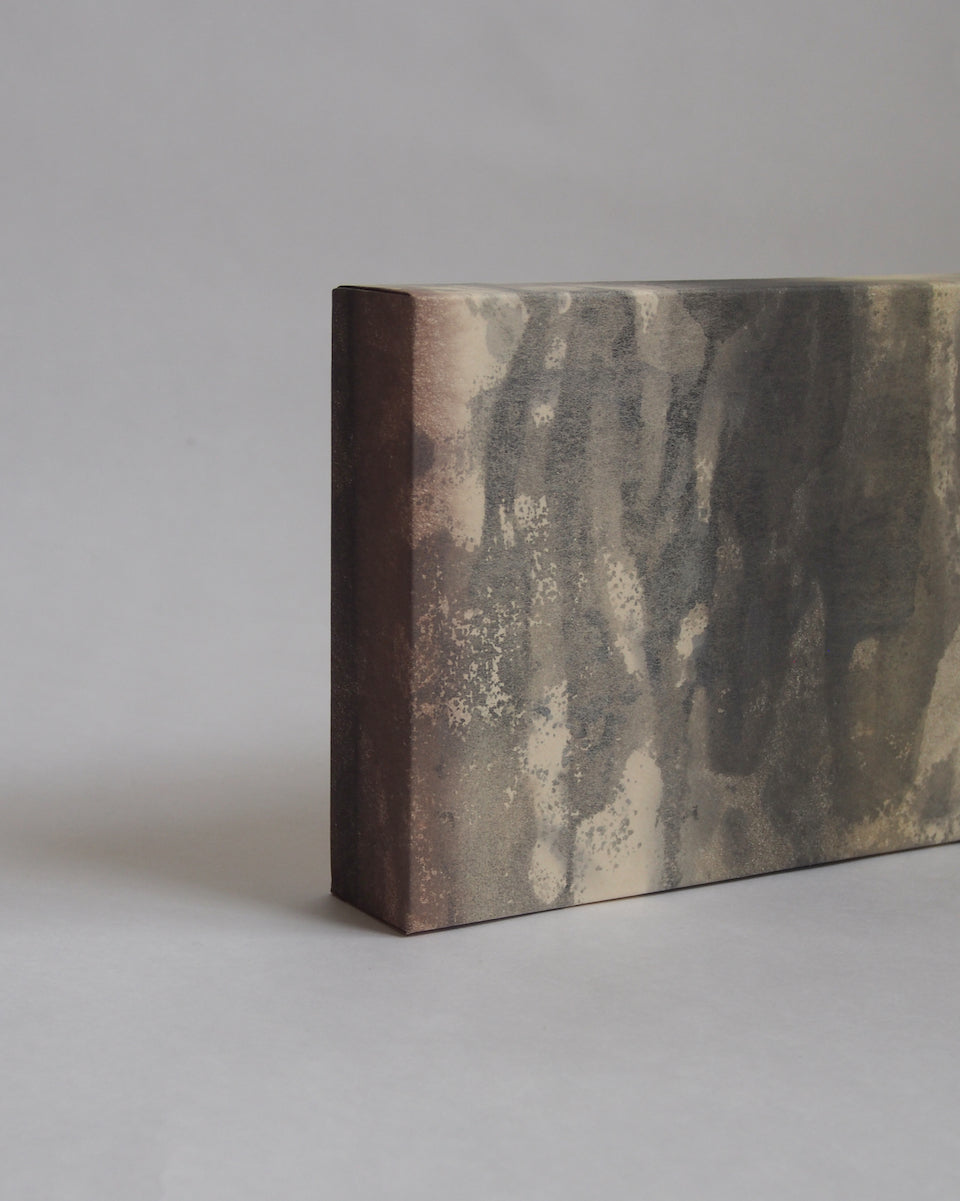 Ayana Mizuno "Translucent scenery no.6, 2025"
