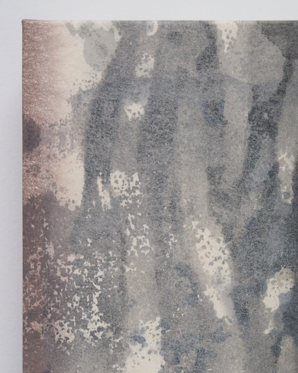 Ayana Mizuno "Translucent scenery no.6, 2025"