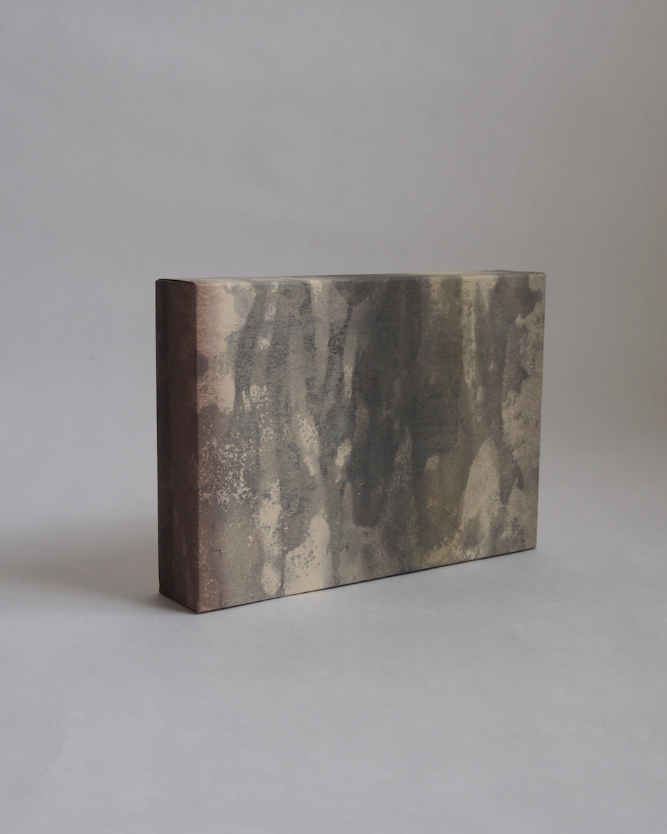 Ayana Mizuno "Translucent scenery no.6, 2025"
