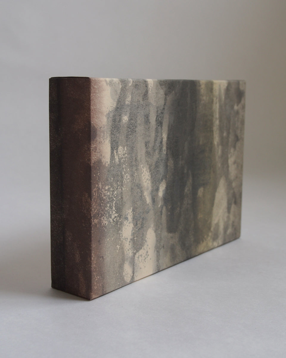 Ayana Mizuno "Translucent scenery no.6, 2025"