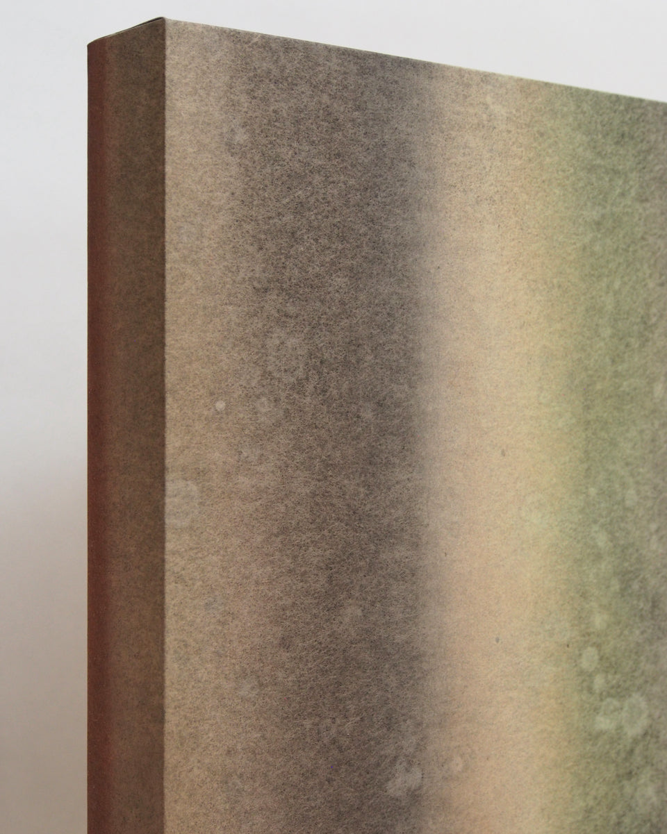 Ayana Mizuno "Translucent scenery no.8, 2025"