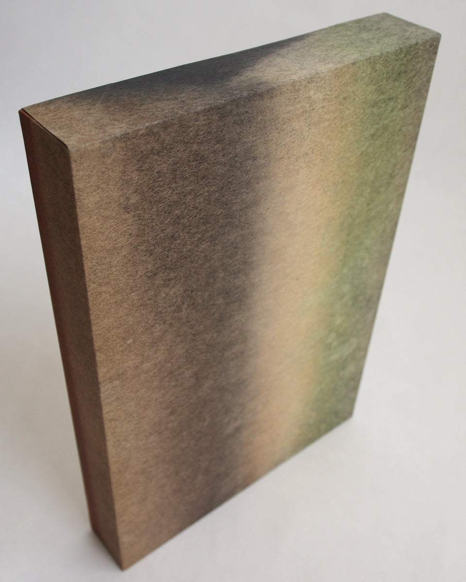 Ayana Mizuno "Translucent scenery no.8, 2025"