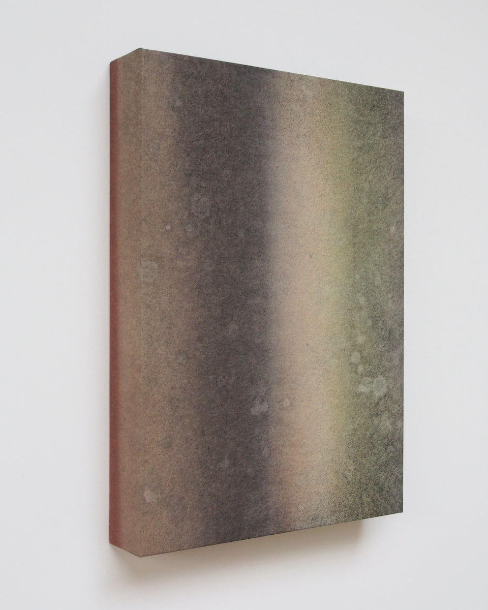 Ayana Mizuno "Translucent scenery no.8, 2025"