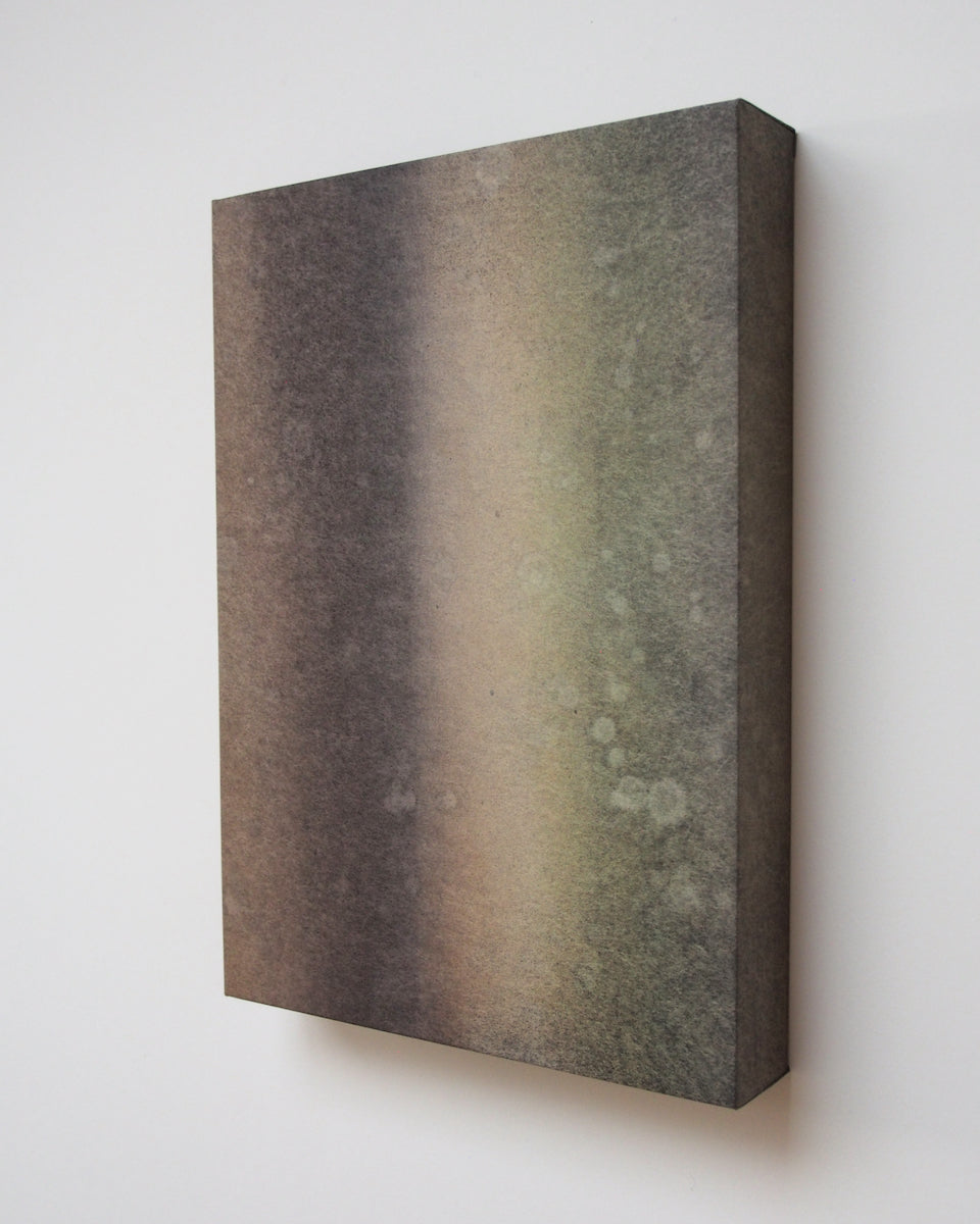 Ayana Mizuno "Translucent scenery no.8, 2025"