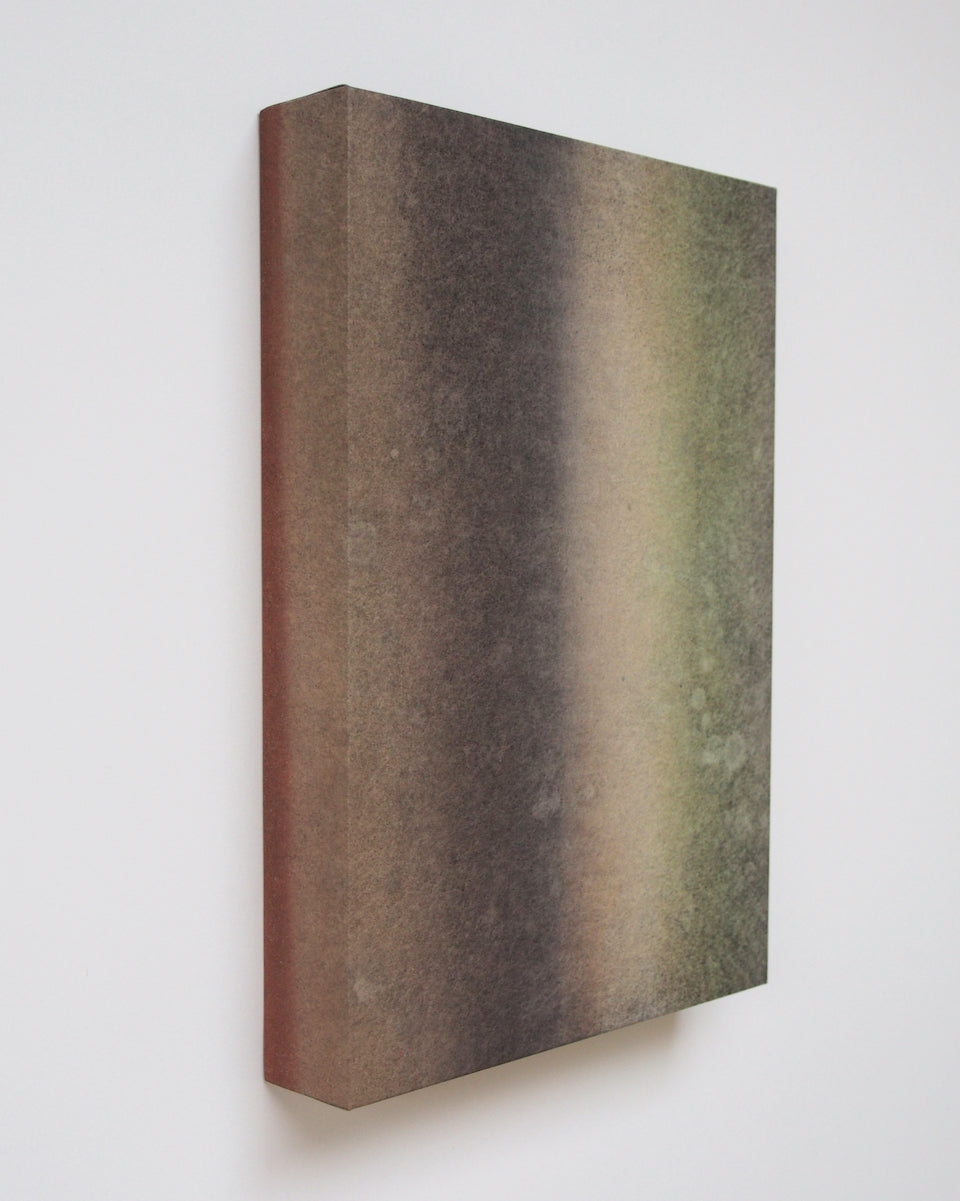 Ayana Mizuno "Translucent scenery no.8, 2025"