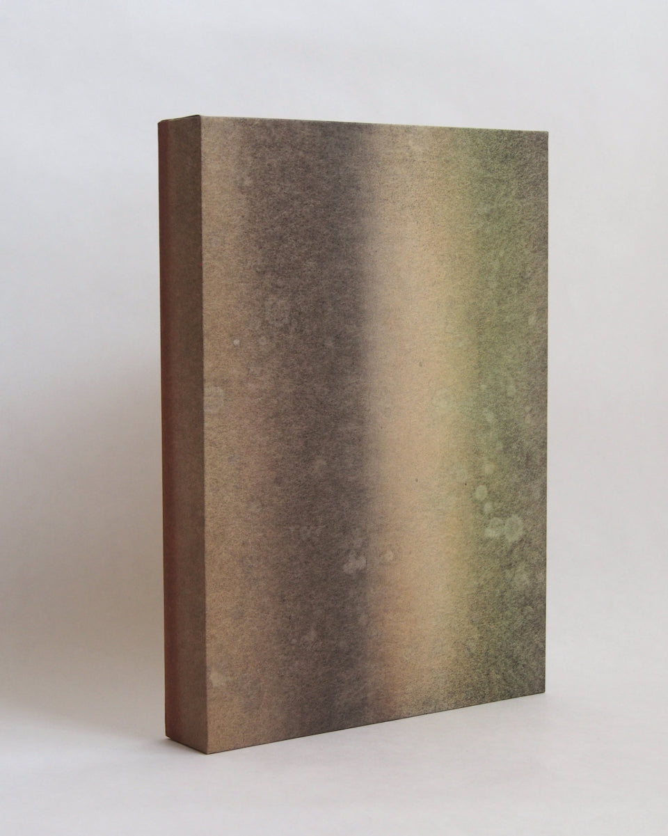Ayana Mizuno "Translucent scenery no.8, 2025"