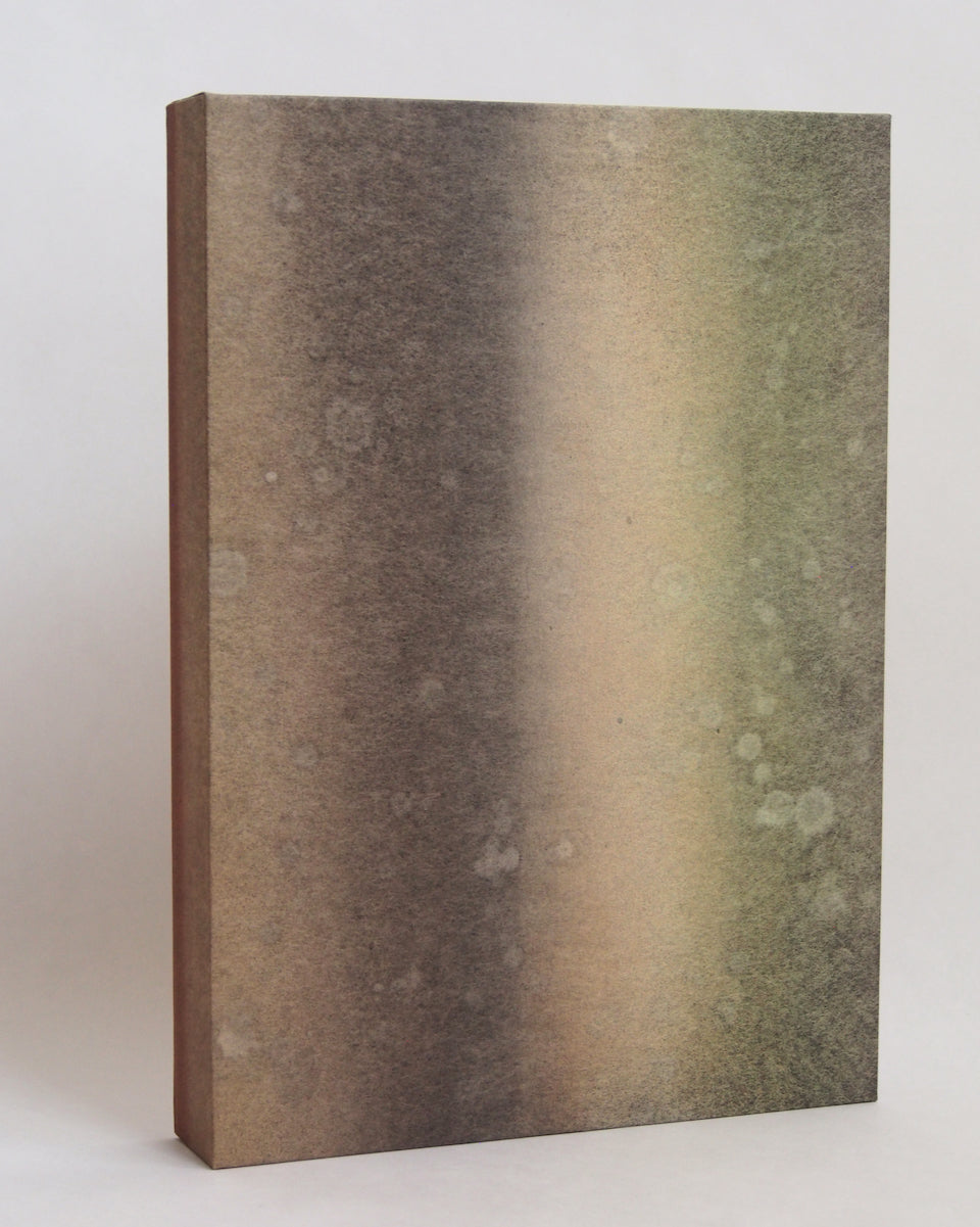 Ayana Mizuno "Translucent scenery no.8, 2025"