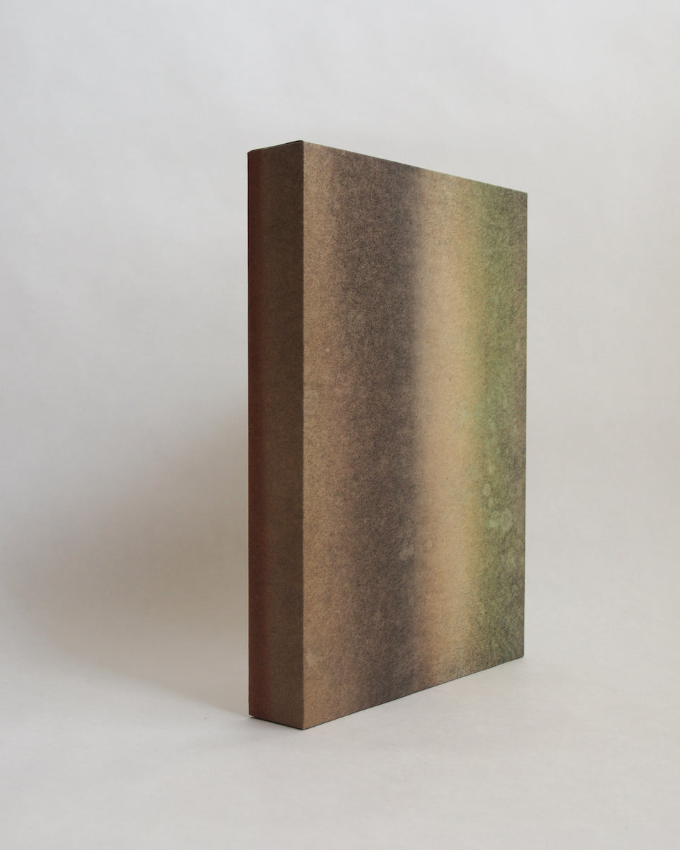 Ayana Mizuno "Translucent scenery no.8, 2025"