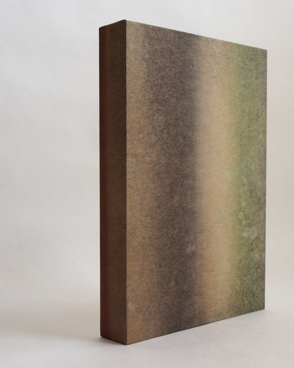 Ayana Mizuno "Translucent scenery no.8, 2025"