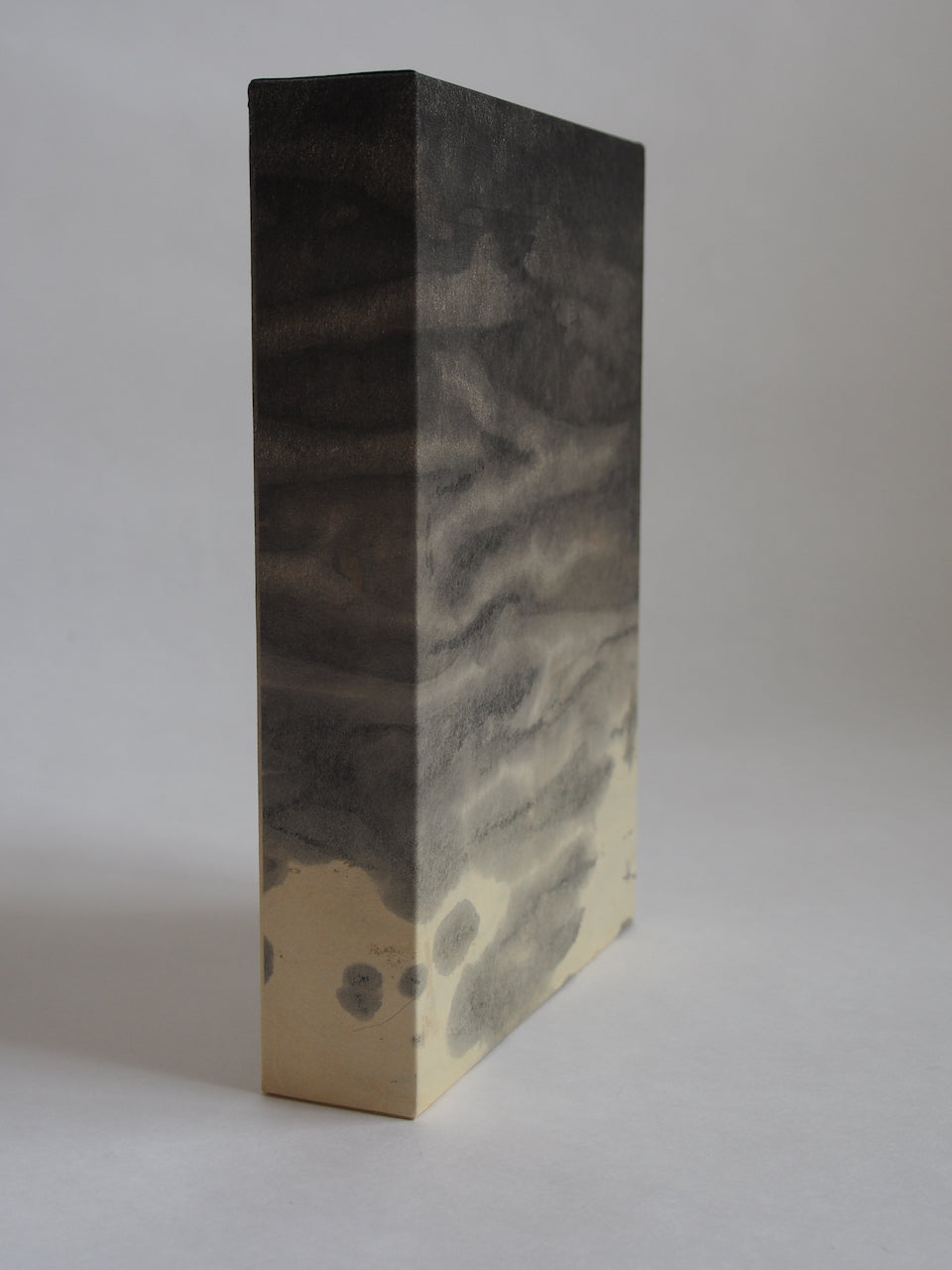 Ayana Mizuno "Translucent scenery no.4, 2025"
